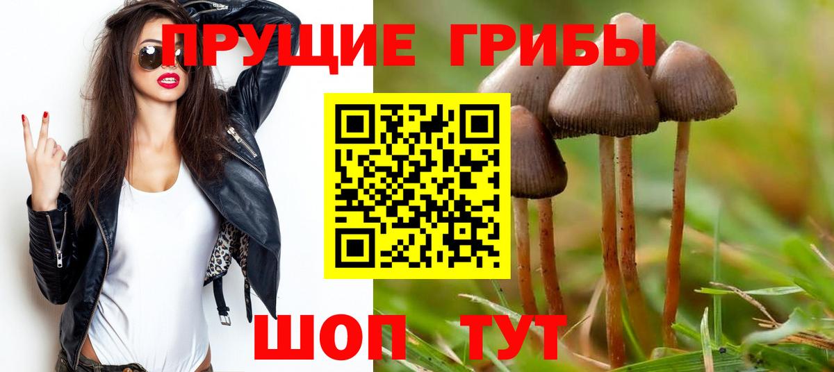 Волжский  Галлюциногенные грибы прущие грибы  Вход с VPN 