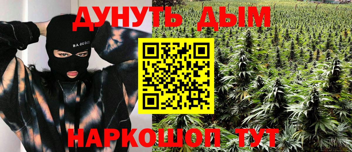 Конопля марихуана Волжский